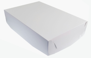 TÅRTLOCK 30X45X9 CM VIT 100 ST