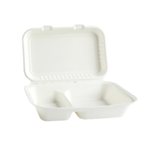 TakeAway Box 2-fack Bagasse 250st